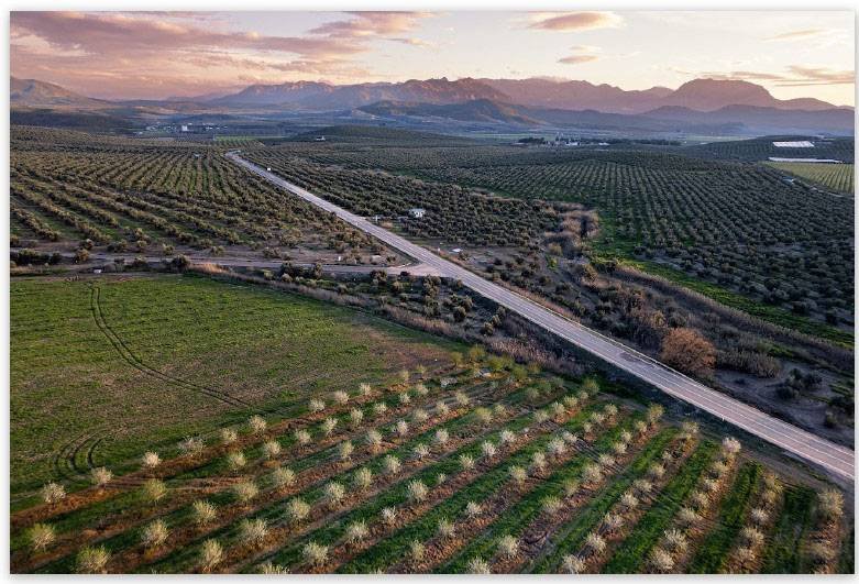 El IEG concede el IV Premio de Fotografía ‘El Paisaje Giennense’ a la ubetense Katy Gómez