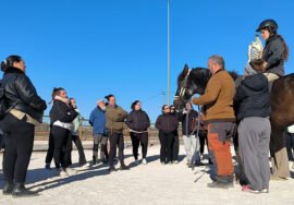 Taller de equinoterapia.