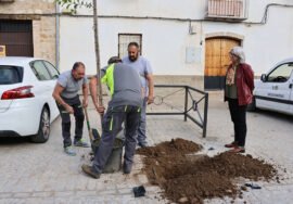 La concejala de Medio Ambiente, Parques y Jardines, Teresa Torres, durante su visita.