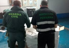 Agente de la Guardia Civil, con el pescado incautado. JUNTA DE ANDALUCÍA