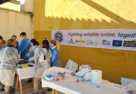 Participantes en el curso sobre la investigación de crímenes contra la fauna.