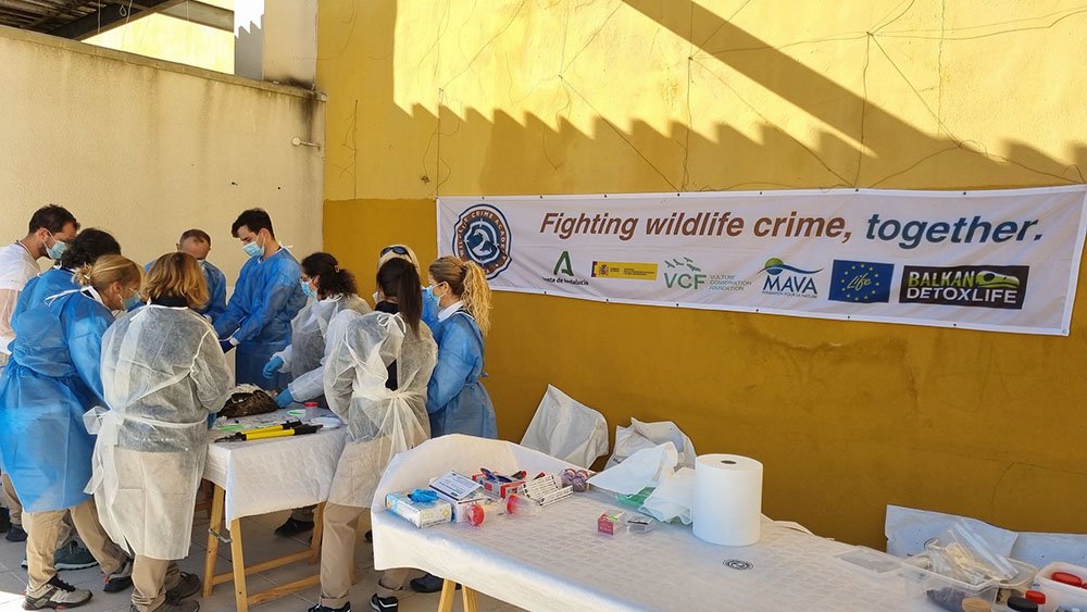 Participantes en el curso sobre la investigación de crímenes contra la fauna.