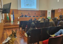 Inauguración del máster.