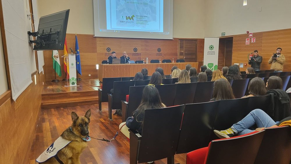 Inauguración del máster.