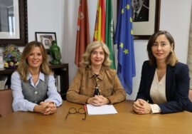 Presentación del proceso de licitación para la obra de rehabilitación en el Hospital de Santiago.