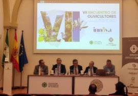 Celebración del VII Encuentro de Olivicultores.