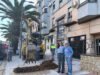 Plantación de palmeras en la Avenida de La Loma en Úbeda.