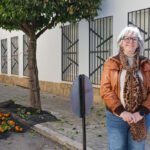 Campaña de recogida de naranjas en Úbeda.