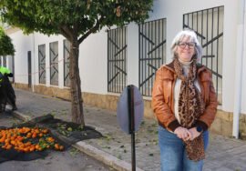 Campaña de recogida de naranjas en Úbeda.