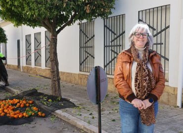 Campaña de recogida de naranjas en Úbeda.