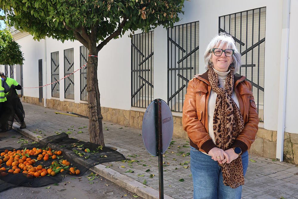 Campaña de recogida de naranjas en Úbeda.
