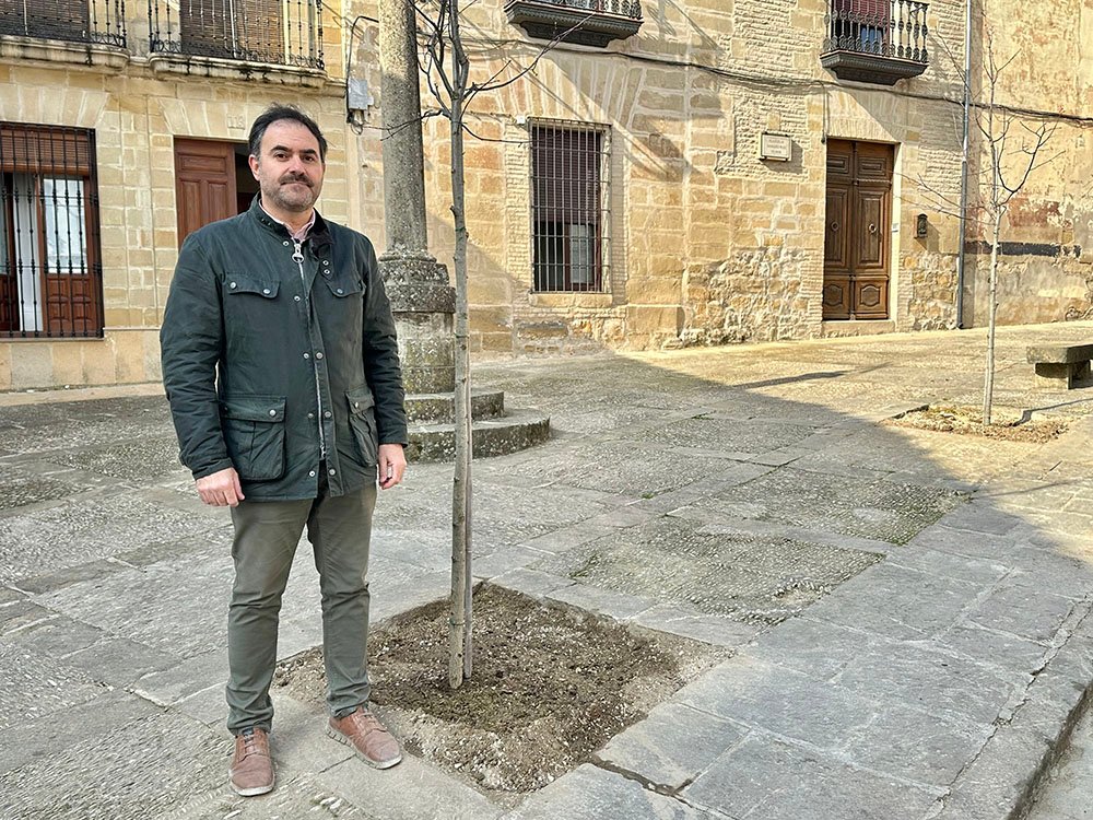 Labores de repoblación de arbolado en la plazuela Amadeo Ruiz de Olmos.