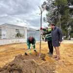 Inicio de los trabajos de repoblación de árboles.