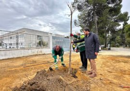 Inicio de los trabajos de repoblación de árboles.