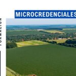 Cartel de la microcredencial.