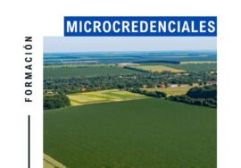 Cartel de la microcredencial.