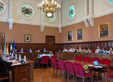 Imagen del Salón de Plenos de la Diputación en la jornada de hoy.
