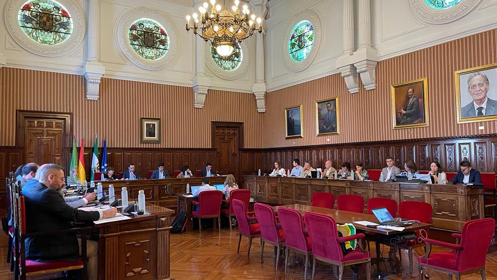 Imagen del Salón de Plenos de la Diputación en la jornada de hoy.