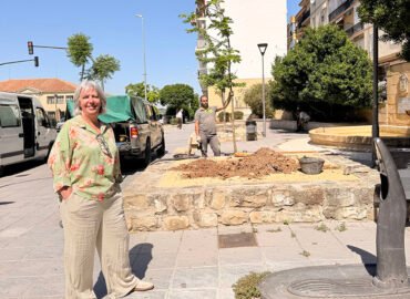Plantación de nuevo arbolado en Úbeda.