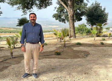 Labores de mejora y embellecimiento del acceso a Baeza desde Jaén.