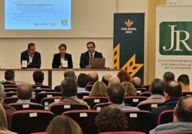 Imagen de la apertura de las jornadas celebradas este martes en Baeza. JUNTA DE ANDALUCÍA